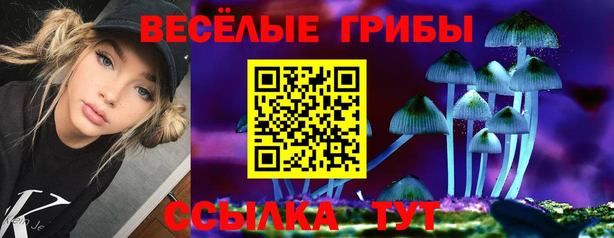 Ноябрьск  Галлюциногенные грибы Magic Shrooms  Псилоцибиновые грибы Psilocybine cubensis  Вход с VPN 